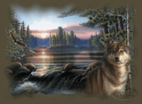 wolf-lake-animated-wolves-6394207-570-417.gif